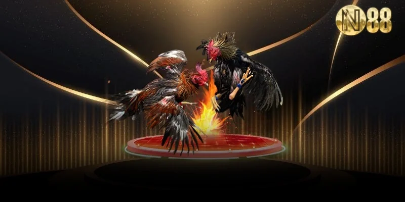 Các đặc điểm nổi bật của cược gà cựa sắt N88